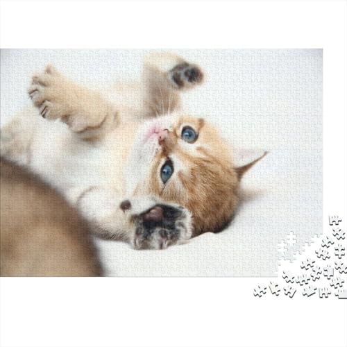 Süße kleine Katze 1000 Teile Puzzle Puzzle Erwachsene Katze Pädagogisches Spiel Herausforderung Home Dekoration Geschenke Für Erwachsene 1000pcs (75x50cm) von VGDKAOBM