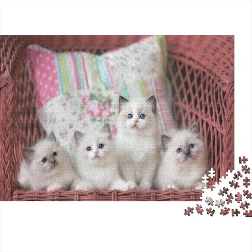 Süße kleine Katze 1000 Teile Puzzle Puzzle Erwachsene Katze Pädagogisches Spiel Herausforderung Wohnungseinrichtung Schöne Geschenkidee 1000pcs (75x50cm) von VGDKAOBM