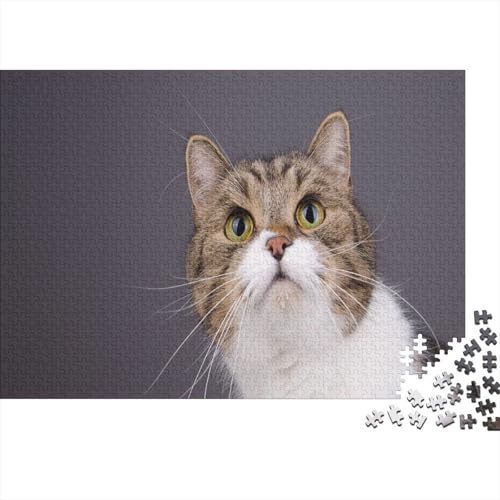 Süße kleine Katze 1000 Teile Puzzle Puzzles Für Erwachsene Katze Pädagogisches Spiel Herausforderung Home Dekoration Geschenke Für Erwachsene 1000pcs (75x50cm) von VGDKAOBM