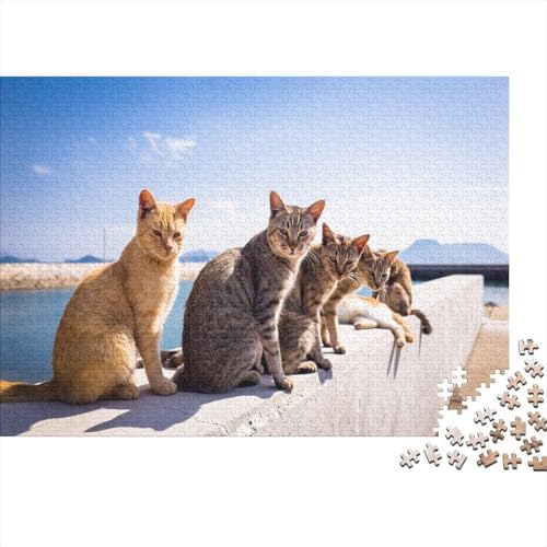 Süße kleine Katze 1000 Teile Puzzle Puzzles Für Erwachsene Katze Pädagogisches Spiel Herausforderung Home Dekoration Schöne Geschenkidee 1000pcs (75x50cm) von VGDKAOBM