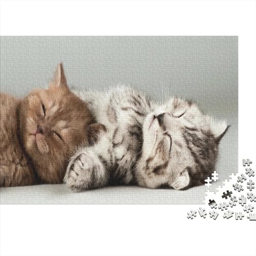 Süße kleine Katze 1000 Teile Puzzle Puzzles Für Erwachsene Katze Pädagogisches Spiel Herausforderung Wohnungseinrichtung Schöne Geschenkidee 1000pcs (75x50cm) von VGDKAOBM