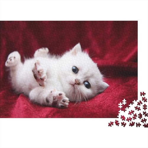 Süße kleine Katze 1000 Teile Puzzle Puzzles Für Erwachsene Katze Puzzlespiel-Herausforderung Pädagogisches Spiel Herausforderung Home Dekoration Schöne Geschenkidee 1000pcs (75x50cm) von VGDKAOBM
