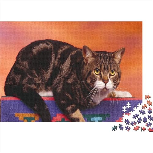 Süße kleine Katze 1000 Teile Puzzles Puzzle Erwachsene Katze Pädagogisches Spiel Herausforderung Heimdekoration Geschenke Geschenke Für Erwachsene 1000pcs (75x50cm) von VGDKAOBM