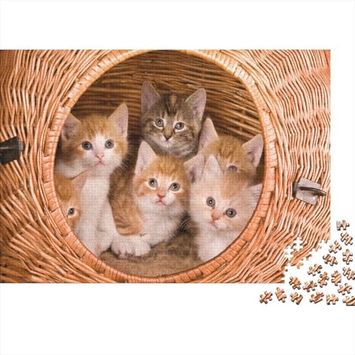 Süße kleine Katze 1000 Teile Puzzles Puzzle Erwachsene Katze Pädagogisches Spiel Herausforderung Home Dekoration Geschenke Für Erwachsene 1000pcs (75x50cm) von VGDKAOBM