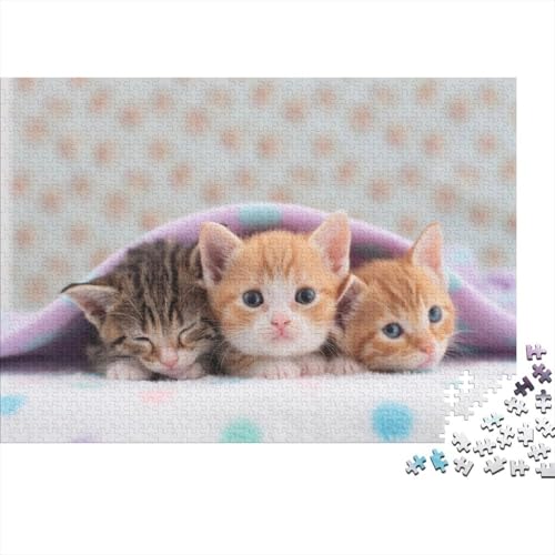 Süße kleine Katze 1000 Teile Puzzles Puzzle Erwachsene Katze Pädagogisches Spiel Herausforderung Home Dekoration Schöne Geschenkidee 1000pcs (75x50cm) von VGDKAOBM