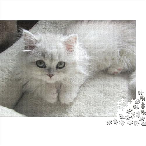 Süße kleine Katze 1000 Teile Puzzles Puzzle Erwachsene Katze Pädagogisches Spiel Herausforderung Home Dekoration Schöne Geschenkidee 1000pcs (75x50cm) von VGDKAOBM