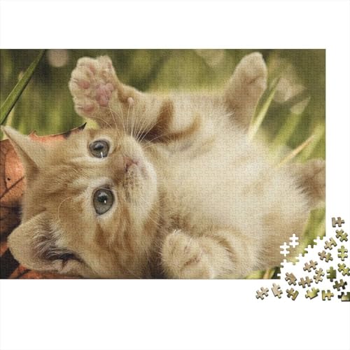 Süße kleine Katze 1000 Teile Puzzles Puzzle Erwachsene Katze Pädagogisches Spiel Herausforderung Wohnungseinrichtung Geschenke Für Erwachsene 1000pcs (75x50cm) von VGDKAOBM