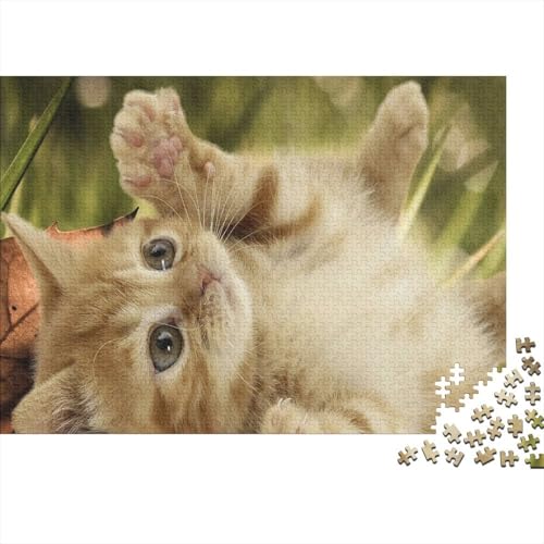 Süße kleine Katze 1000 Teile Puzzles Puzzles Für Erwachsene Katze Pädagogisches Spiel Herausforderung Home Dekoration Geschenke Für Erwachsene 1000pcs (75x50cm) von VGDKAOBM