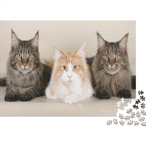 Süße kleine Katze 1000 Teile Puzzles Puzzles Für Erwachsene Katze Pädagogisches Spiel Herausforderung Home Dekoration Geschenke Für Erwachsene 1000pcs (75x50cm) von VGDKAOBM