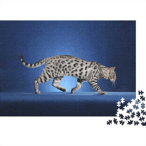 Süße kleine Katze 1000 Teile Puzzles Puzzles Für Erwachsene Katze Pädagogisches Spiel Herausforderung Wohnungseinrichtung Geschenke Für Erwachsene 1000pcs (75x50cm) von VGDKAOBM