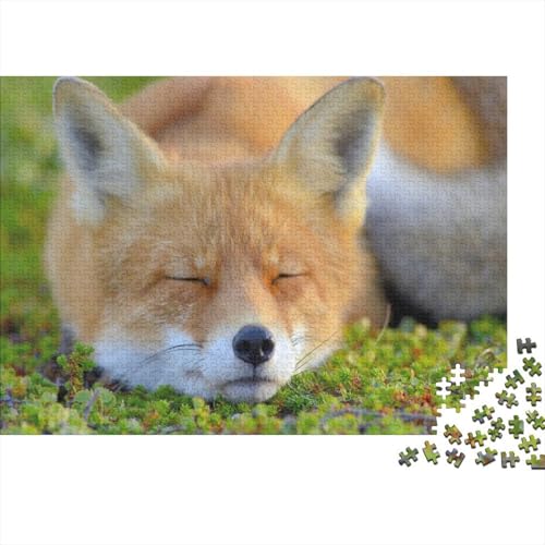 Süßer Kleiner Fuchs 1000 Stück Puzzle Puzzle Erwachsene Fuchs Pädagogisches Spiel Herausforderung Home Dekoration Schöne Geschenkidee 1000pcs (75x50cm) von VGDKAOBM