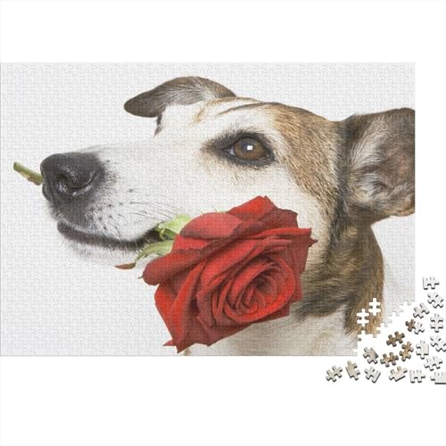 Süßer Kleiner Hund 1000 Stück Puzzle Puzzle Erwachsene Hund Puzzlespiel-Herausforderung Pädagogisches Spiel Herausforderung Wohnungseinrichtung Geschenke Für Erwachsene 1000pcs (75x50cm) von VGDKAOBM