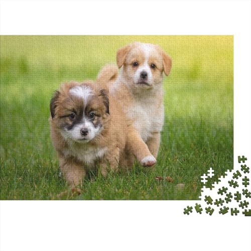 Süßer Kleiner Hund 1000 Stück Puzzle Puzzle Erwachsene Hund Puzzlespiel-Herausforderung Pädagogisches Spiel Herausforderung Wohnungseinrichtung Geschenke Für Erwachsene 1000pcs (75x50cm) von VGDKAOBM