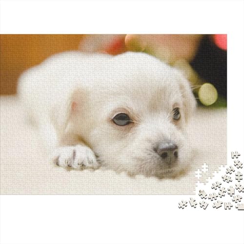 Süßer Kleiner Hund 1000 Stück Puzzle Puzzles Für Erwachsene Hund Pädagogisches Spiel Herausforderung Heimdekoration Geschenke Schöne Geschenkidee 1000pcs (75x50cm) von VGDKAOBM