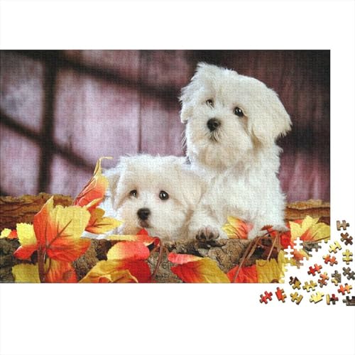 Süßer Kleiner Hund 1000 Teile Puzzle Puzzle Erwachsene Hund Pädagogisches Spiel Herausforderung Wohnungseinrichtung Schöne Geschenkidee 1000pcs (75x50cm) von VGDKAOBM