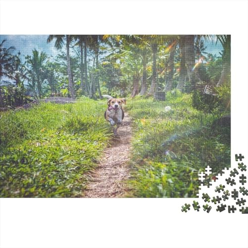 Süßer Kleiner Hund 1000 Teile Puzzle Puzzles Für Erwachsene Hund Pädagogisches Spiel Herausforderung Home Dekoration Schöne Geschenkidee 1000pcs (75x50cm) von VGDKAOBM