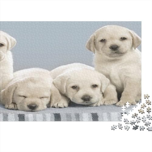 Süßer Kleiner Hund 1000 Teile Puzzles Puzzle Erwachsene Hund Pädagogisches Spiel Herausforderung Home Dekoration Schöne Geschenkidee 1000pcs (75x50cm) von VGDKAOBM