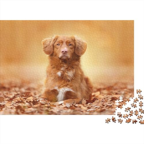 Süßer Kleiner Hund 1000 Teile Puzzles Puzzle Erwachsene Hund Puzzlespiel-Herausforderung Pädagogisches Spiel Herausforderung Home Dekoration Schöne Geschenkidee 1000pcs (75x50cm) von VGDKAOBM