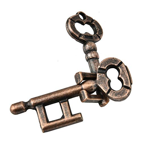 VGEBY IQ Teaser Unlock Toy, Intelligence Buckle Adult Intelligent Puzzle Lock Buckle Lernspielzeug – Schlüsselschloss Knobelspiele Für Erwachsene von VGEBY