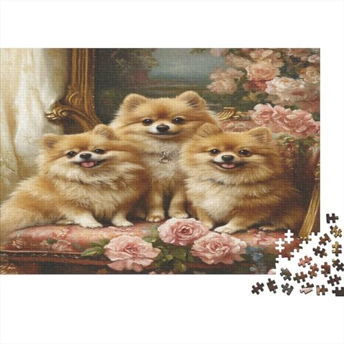 Pommersch Puzzle 1000 Teile Für Erwachsene Und Kinder Ab 14 Jahrenfür Stressabbauer Puzzlespiel Erwachsenen Puzzlespiel Puzzel 1000pcs (75x50cm) von VIAGECSKE