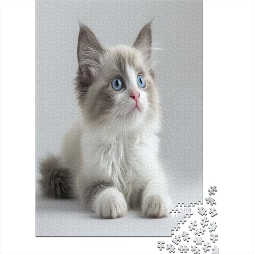 Süße blauäugige Katze Puzzlespiel 1000 Teile Puzzles Für Erwachsene Lernspiel Herausforderung Spielzeug 1000 Teile Puzzles Für Erwachsene Kinder Erwachsenen Puzzlespiel Puzzel 1000pcs (75x50cm) von VIAGECSKE
