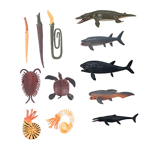 VICASKY 1 Prähistorische Tiermodelle Das Tier B Kinderspielzeug Tiere Minispielzeug Imitiertes Tiermodell Kinderspielzeug Naturwissenschaft Kognitives Simulation Tierspielzeug Bunter von VICASKY