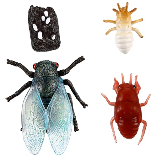 VICASKY Zikaden Lebenszyklus Figuren Satz Realistische Insektenmodelle für Kinder Pädagogisches Spielzeug zur des Lernens über Insekten für Unterricht und Goodie Tasche Füller VICASKY Zikaden Lebenszyklus Figuren Satz Realistische Insektenmodelle für Kinder Pädagogisches Spielzeug zur des Lernens über Insekten für Unterricht und Goodie Tasche Füller von VICASKY