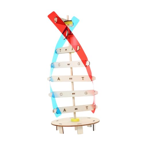 VICASKY 1 Satz DIY DNA Modell aus Wissenschaftliches Double Helix für Lernspielzeug Kreativität und Kritischem für Unterricht und Experimente VICASKY 1 Satz DIY DNA Modell aus Wissenschaftliches Double Helix für Lernspielzeug Kreativität und Kritischem für Unterricht und Experimente von VICASKY