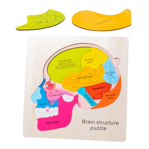 VICASKY 1 Satz Gehirnstruktur Puzzle aus Holz Pädagogisches Lernspielzeug für Fördert Kreativität Kognitive Fähigkeiten und Geschick für Vorschulkinder VICASKY 1 Satz Gehirnstruktur Puzzle aus Holz Pädagogisches Lernspielzeug für Fördert Kreativität Kognitive Fähigkeiten und Geschick für Vorschulkinder von VICASKY