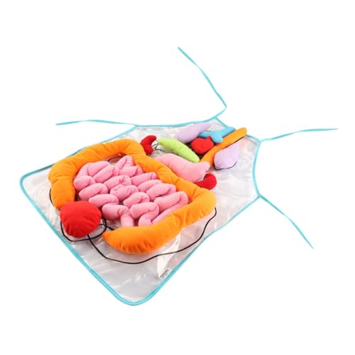 VICASKY 1 Satz Körperorgane Schürze für Lernspielzeug zur Frühkindlichen Bildung Kognitive Entwicklung Anatomische Verständniswerkzeuge für Transparentes Design für Essen VICASKY 1 Satz Körperorgane Schürze für Lernspielzeug zur Frühkindlichen Bildung Kognitive Entwicklung Anatomische Verständniswerkzeuge für Transparentes Design für Essen von VICASKY