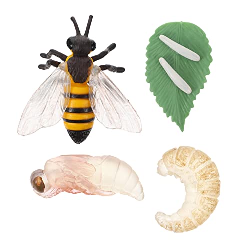 VICASKY Realistisches Bienenmodell – Simulation des Bienenwachstums – Spielzeug Zum Lebenszyklus Von Insekten – Perfektes Für Kinder VICASKY Realistisches Bienenmodell – Simulation des Bienenwachstums – Spielzeug Zum Lebenszyklus Von Insekten – Perfektes Für Kinder von VICASKY
