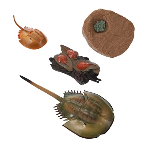 VICASKY 1 Satz Kognitives Modell des Lebens Krabbe Zyklus Realistische Meerestierfiguren Pfeilschwanzkrebs-Modell Kreaturen Modell Pfeilschwanzkrebsfigur Basteln Plastik VICASKY 1 Satz Kognitives Modell des Lebens Krabbe Zyklus Realistische Meerestierfiguren Pfeilschwanzkrebs-Modell Kreaturen Modell Pfeilschwanzkrebsfigur Basteln Plastik von VICASKY