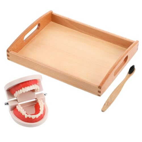 VICASKY 1 Satz Lehrmittel zum Zähneputzen für Modell zum Zähneputzen Zahnarztspielzeug für Toothbrush holzspielzeug Gurgelspielzeug waschen Kinderspielzeug VICASKY 1 Satz Lehrmittel zum Zähneputzen für Modell zum Zähneputzen Zahnarztspielzeug für Toothbrush holzspielzeug Gurgelspielzeug waschen Kinderspielzeug von VICASKY