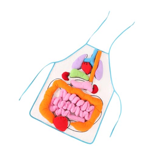 VICASKY 1 Satz Menschliche Eingeweide Schürze Mehrzweck-zahnpasta Ornament-tablett Ring Kinderzimmerregal Stand Papier Stauraum Über Der Tür Ohrhörer Platz Kunst Profi-kopfhörer Plastik von VICASKY