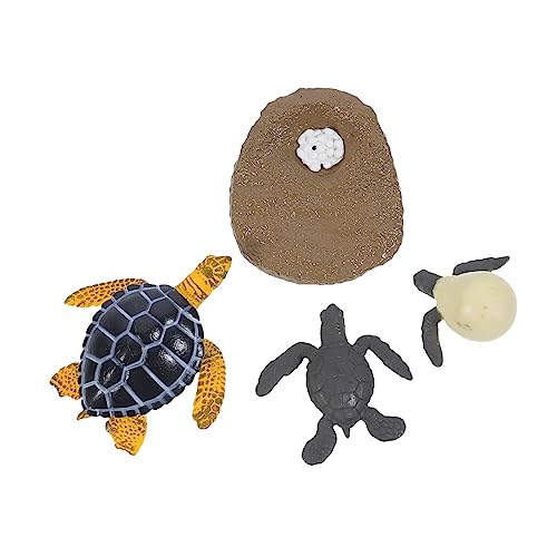 VICASKY 1 Satz Schildkrötenwachstumsmodell Schildkrötenfiguren Meeresschildkröten-Modell Kleine Schildkröte Plastik VICASKY 1 Satz Schildkrötenwachstumsmodell Schildkrötenfiguren Meeresschildkröten-Modell Kleine Schildkröte Plastik von VICASKY