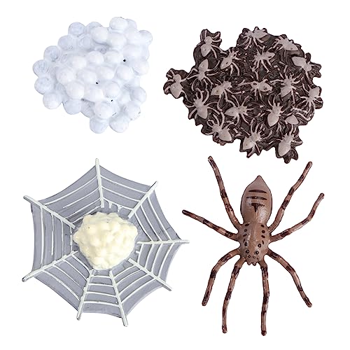 VICASKY 1 Satz Simulation Tierwachstumsmodell für Lebensphasen von Spinnen und Insektenfiguren für Kreative Lernspiele und Dekoration aus Hochwertigem Material Gefertigt von VICASKY