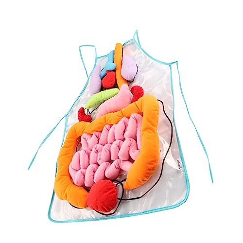 VICASKY 1 Set Menschenschürze Backschürze Für Babys Küchen Lätzchenschürze Bewusstsein Lernspielzeug Anatomiemodell Für 3D Organschürze Lernspielzeug Kochschürze Aus Polyester von VICASKY
