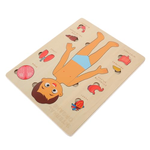 VICASKY 1 Set Puzzle Zur Struktur des Menschlichen Körpers Kinderspielzeug Kinderwerkzeuge Kinderpuzzles Werkzeuge Für Kinderpuzzles Frühlernspielzeug Puzzles Für Körperorgane VICASKY 1 Set Puzzle Zur Struktur des Menschlichen Körpers Kinderspielzeug Kinderwerkzeuge Kinderpuzzles Werkzeuge Für Kinderpuzzles Frühlernspielzeug Puzzles Für Körperorgane von VICASKY