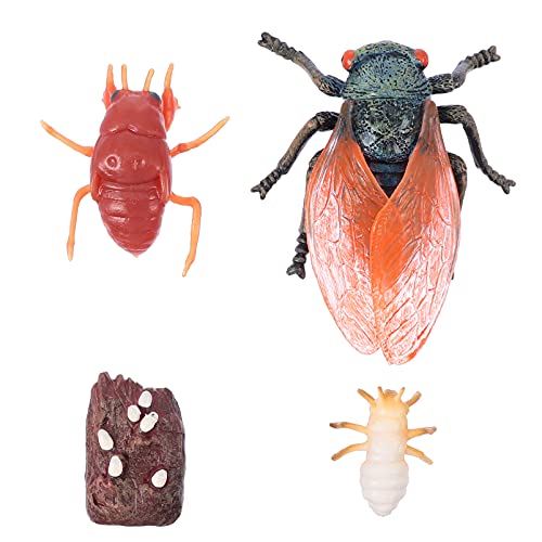 VICASKY 1 Set Tierwissenschaft Und Bildungsspielzeug Set Simulierte Tiere Tiermodelle Kinderspielzeug Lebenszyklus Kunststoff von VICASKY