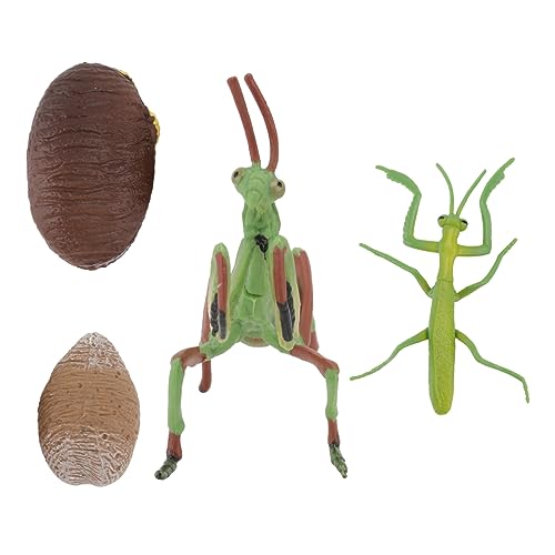 VICASKY 1 Set Wachstumszyklus Kinderspielzeug Mantis Modell Figur Lernspielzeug Tiere Figur Tiermodell Lernspielzeug Mantis Modell Tierfigur PVC VICASKY 1 Set Wachstumszyklus Kinderspielzeug Mantis Modell Figur Lernspielzeug Tiere Figur Tiermodell Lernspielzeug Mantis Modell Tierfigur PVC von VICASKY