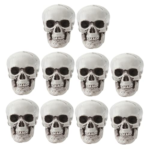VICASKY 10 Stück Teiliges Halloween Schädel Deko aus Hochwertigem Kunststoff Realistische Skelettköpfe für Gruselige Party und Haunted House Dekoration Leicht und Bruchsicher für VICASKY 10 Stück Teiliges Halloween Schädel Deko aus Hochwertigem Kunststoff Realistische Skelettköpfe für Gruselige Party und Haunted House Dekoration Leicht und Bruchsicher für von VICASKY