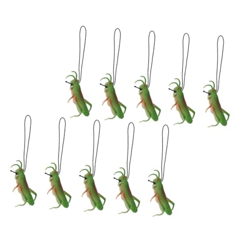 VICASKY 10 Stück Teiliges Realistische Heuschrecken mit Lanyard Lebendige Tierfiguren für Dekoration und Partygeschenke für Lernspiele von VICASKY