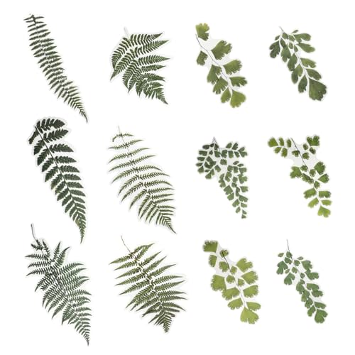 VICASKY 12 Blätter Aufkleber Scrapbook scheckheft Decor stickern dekoring stickbilder Handgemacht Handwerksdekoration bewerbung The Edith Eger Tagebuch Etiketten das Haustier Green VICASKY 12 Blätter Aufkleber Scrapbook scheckheft Decor stickern dekoring stickbilder Handgemacht Handwerksdekoration bewerbung The Edith Eger Tagebuch Etiketten das Haustier Green von VICASKY