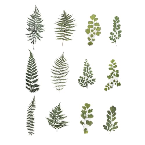 VICASKY 12 Blatt Aufkleber Scrapbook scheckheft Decor schenken eincremehilfe Handgemacht DIY Dekoration scrapbbok noteboon Scrap Book notizbuch Tagebuch Etiketten das Haustier Green von VICASKY