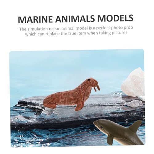 VICASKY 12 Stück Teiliges Lebensmodelle aus Kunststoff Realistische Meeresbewohner Figuren Pädagogisches Kinderspielzeug und Dekorative Mini Meeresbewohner Tiere Leicht Bruchsicher VICASKY 12 Stück Teiliges Lebensmodelle aus Kunststoff Realistische Meeresbewohner Figuren Pädagogisches Kinderspielzeug und Dekorative Mini Meeresbewohner Tiere Leicht Bruchsicher von VICASKY