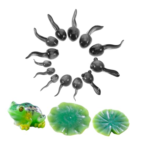 VICASKY 16 Stück Teiliges Miniatur Harz Frosch mit Kreativen Kaulquappen Lotusblättern Leichte DIY Terrarium und Moos Landschaftsfiguren für Mini Garten Dekoration und Feengarten Zubehör VICASKY 16 Stück Teiliges Miniatur Harz Frosch mit Kreativen Kaulquappen Lotusblättern Leichte DIY Terrarium und Moos Landschaftsfiguren für Mini Garten Dekoration und Feengarten Zubehör von VICASKY