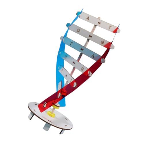 VICASKY 1Satz DIY DNA Doppelhelix Modell Wissenschaftliches Für Pädagogisches DNA Modell Für Biologieunterricht Lehrmittel Für Experimente Und Lernspiele von VICASKY