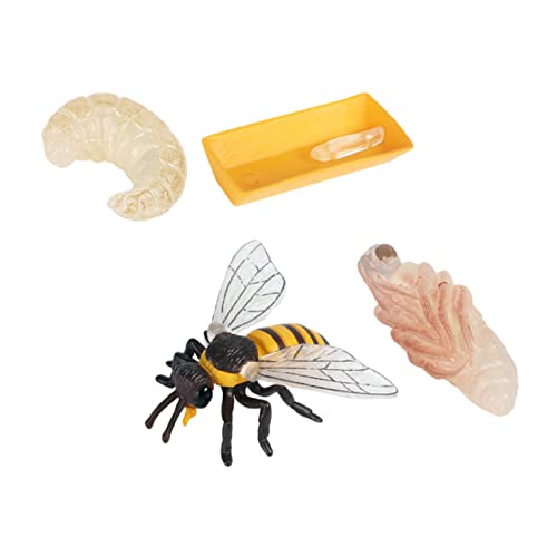 VICASKY Bienenwachstumszyklus Dekoration - PäDagogisches Modell FüR Kinder 7Cm Ideales Lernspielzeug FüR Kreatives Spielen Und Dekorieren von VICASKY