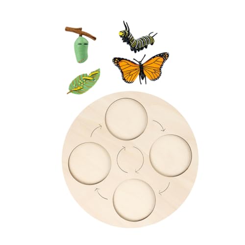VICASKY 1Satz Tierlebenszyklusspielzeug Pädagogisches Insektenmodell für Teiliges mit Realistischen Figuren für Frühes Lernen und Naturentdeckung VICASKY 1Satz Tierlebenszyklusspielzeug Pädagogisches Insektenmodell für Teiliges mit Realistischen Figuren für Frühes Lernen und Naturentdeckung von VICASKY