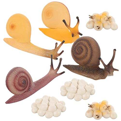 VICASKY 2 Sätze Schnecken Lernspielzeug Lebenszyklus Modell Lernspielzeug Realistische Schneckenfiguren Pädagogisch Sicher und Langlebig für Frühe Bildung VICASKY 2 Sätze Schnecken Lernspielzeug Lebenszyklus Modell Lernspielzeug Realistische Schneckenfiguren Pädagogisch Sicher und Langlebig für Frühe Bildung von VICASKY